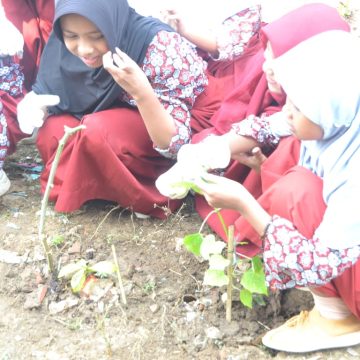 KMTS Mengabdi: Mural dan Penanaman Bibit Bawa Dampak Positif bagi Masyarakat